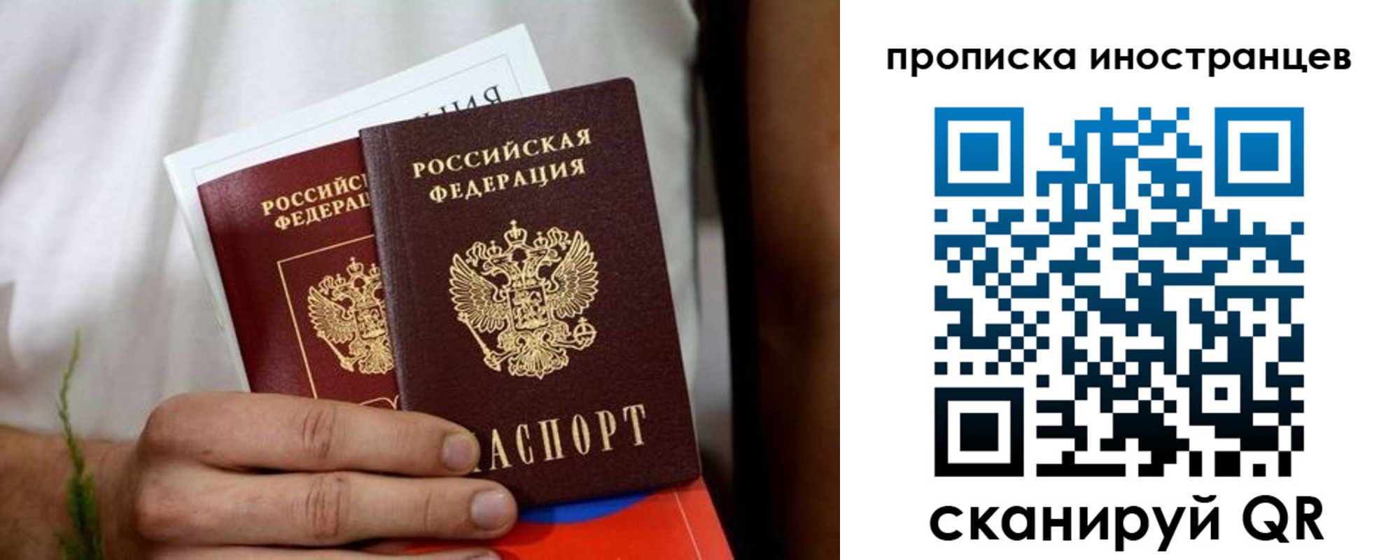 найти адрес прописки в Бабаево