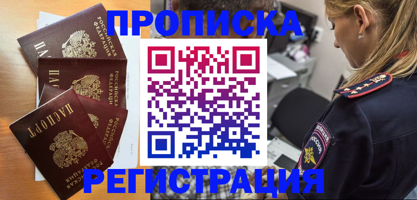 прописка штамп в Бабаево